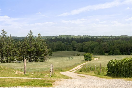 For 3.495.000 kr Gl Kongevej 22 - Se priserne på de dyreste boliger til salg i Ans By