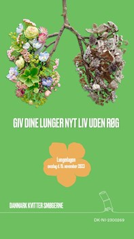 Opslagsbillede