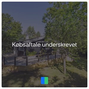 Opslagsbillede
