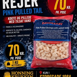 Opslagsbillede