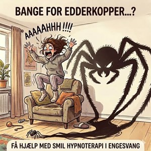 opslagsbillede