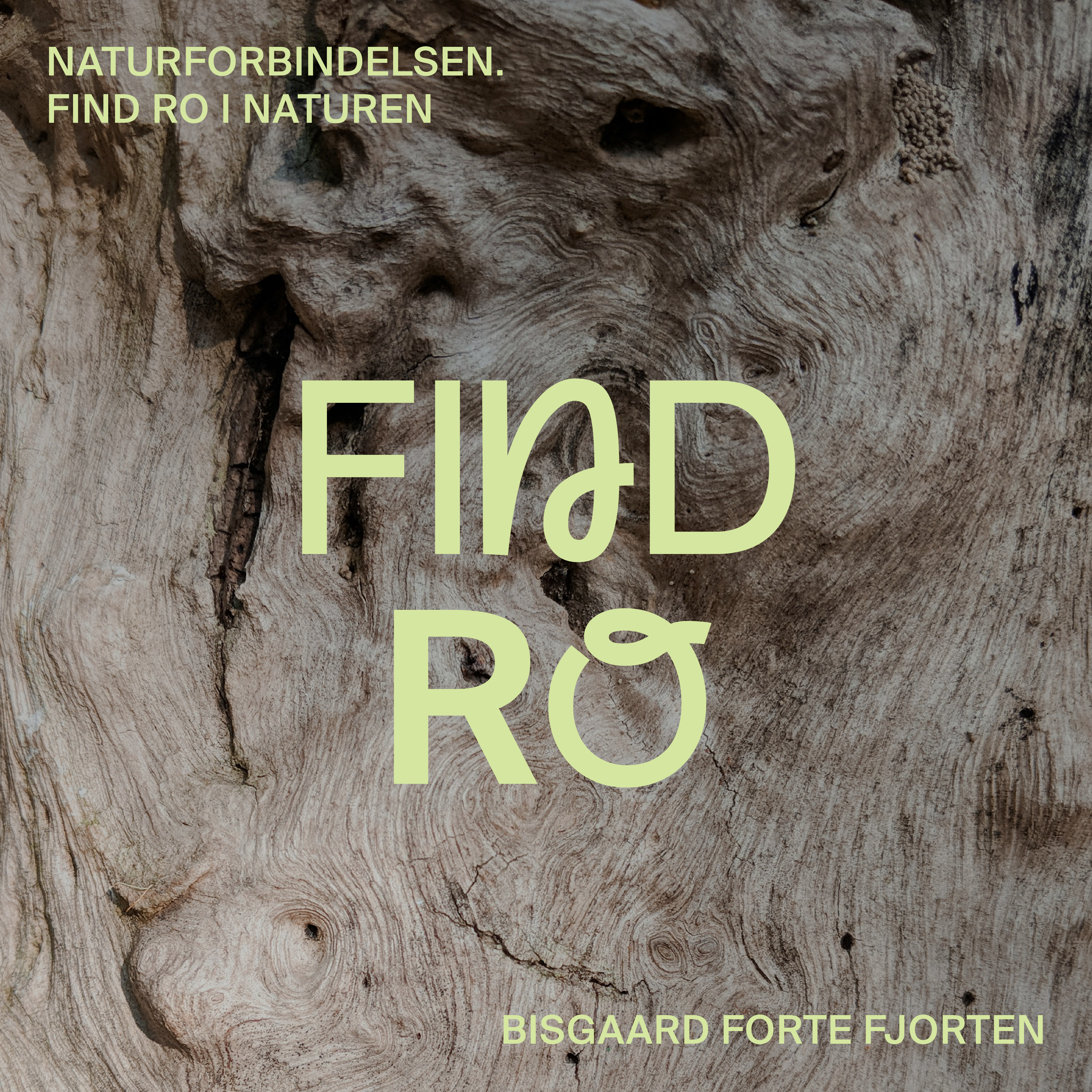 Oplev naturens kraft på Samsø: Skovfit og Naturforbindelsen