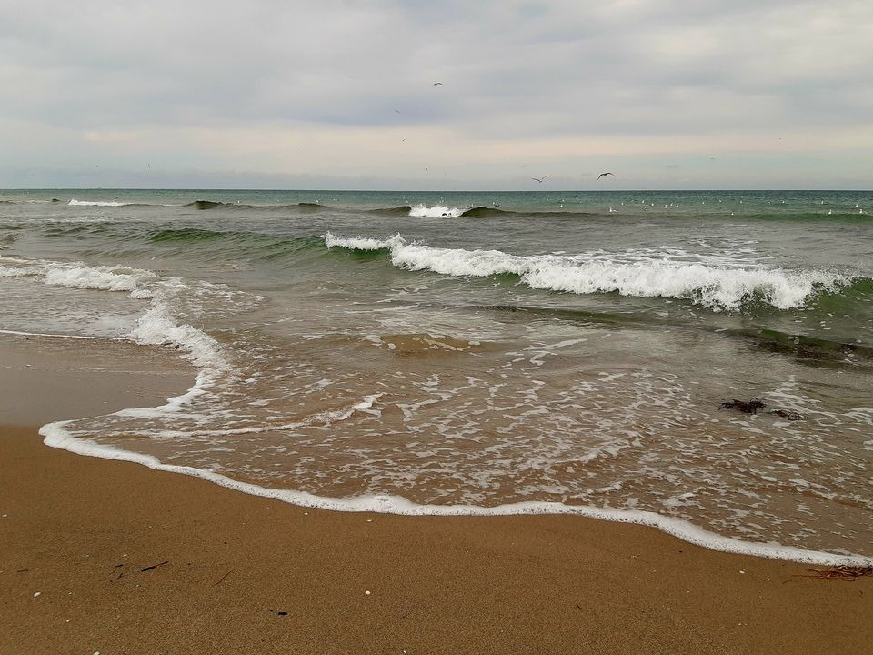 Se dagens updates fra Hammel her