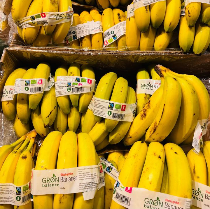 Hold trit med lokalområdet: Nyt fra Odder