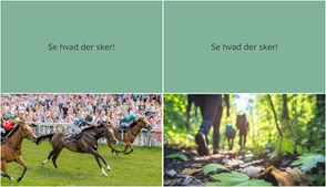 Oplev Klampenborg i weekenden: Derbysus på galopbanen og mindful vandring