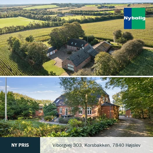 Nybolig Skive I/S sætter prisen ned på charmerende landbrug på Viborgvej 303