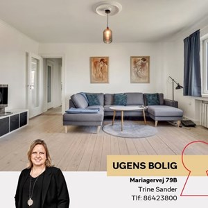 Opslagsbillede