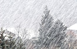 Snesituationen i Favrskov
