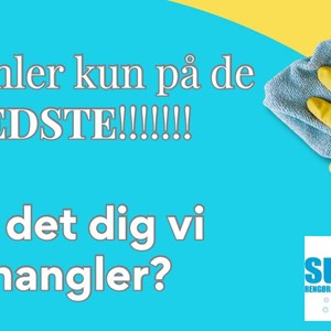 Opslagsbillede
