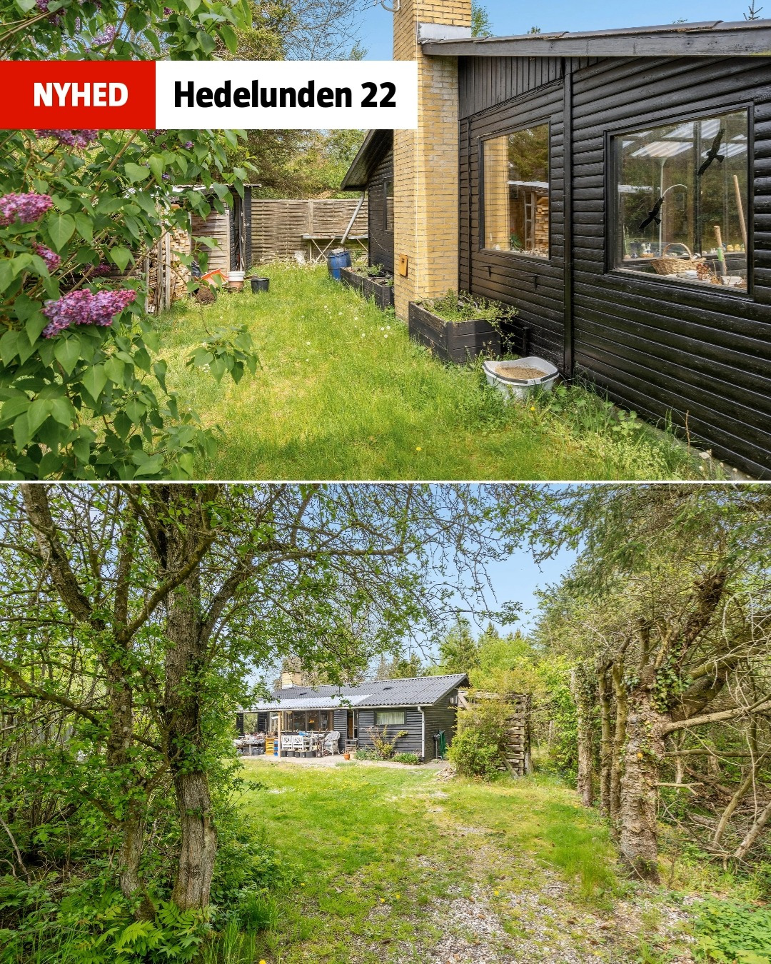 Hold trit med lokalområdet: Nyt fra Hals