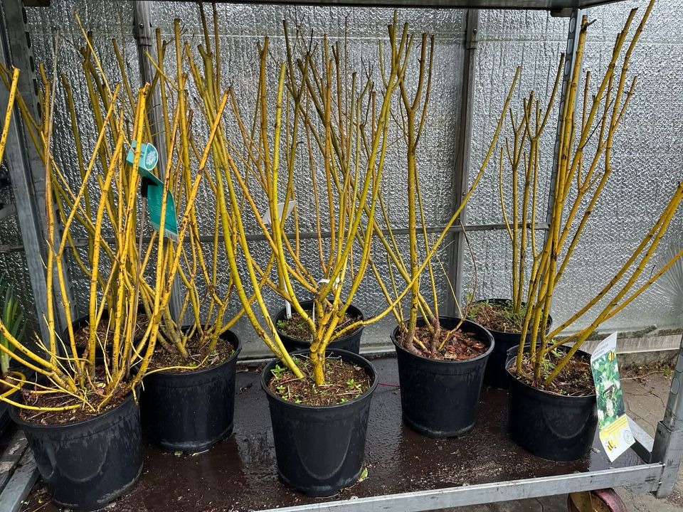 En finger på pulsen i Odder