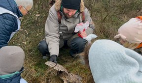 Skattejagt ved stranden i Fårevejle
