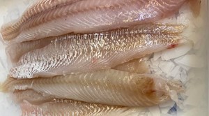 Friske fiskepriser hos Hanstholm Auction Buyer: Torskefilet til 119,00 kr og fragtfri levering onsdag i udvalgte kommuner