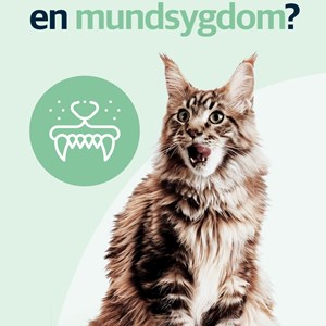 Opslagsbillede