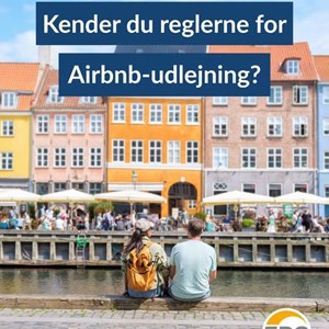 Opslagsbillede
