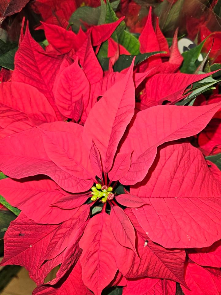 Hold dig ajour med dagens opdateringer fra Frederikshavn