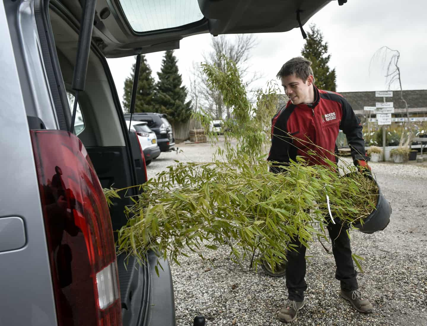 Roeds Planteskole er eksperter i din have