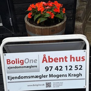 Opslagsbillede