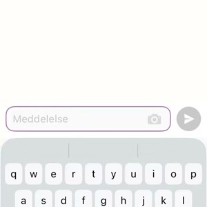 Opslagsbillede