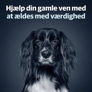 Opslagsbillede