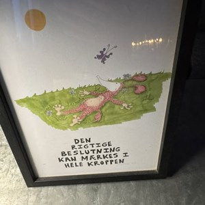 Opslagsbillede