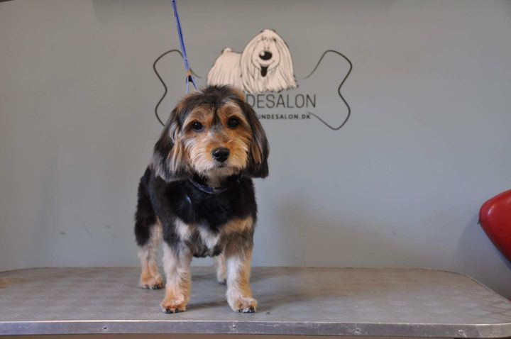 Det nyeste på Sæbys opslagstavle