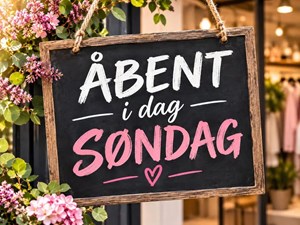 opslagsbillede