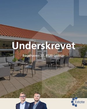 opslagsbillede
