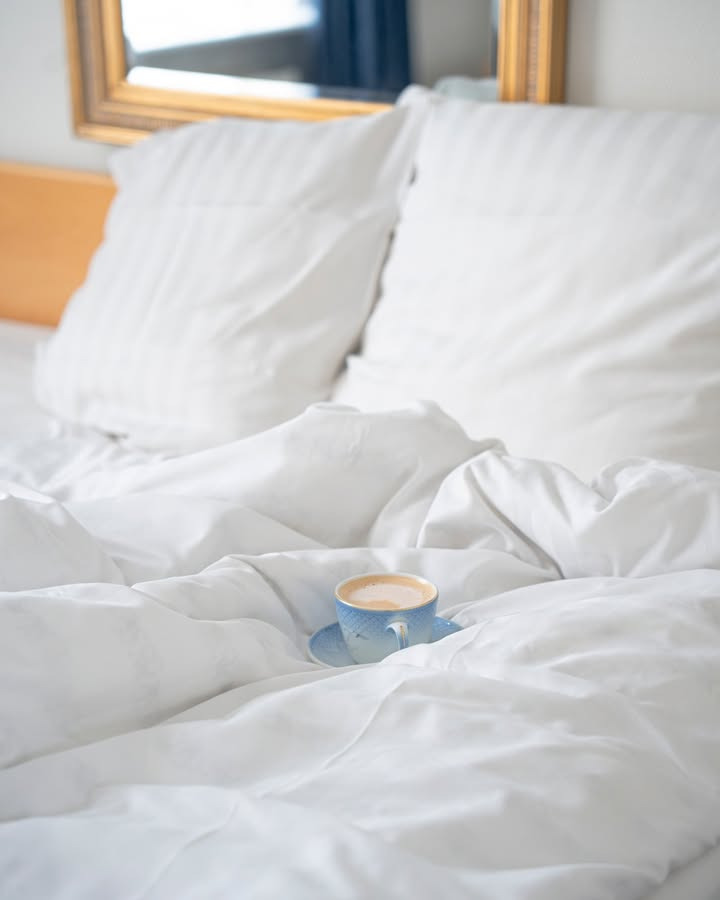 Palads Hotel Viborg tilbyder luksuriøse suiter med privat spa og sauna