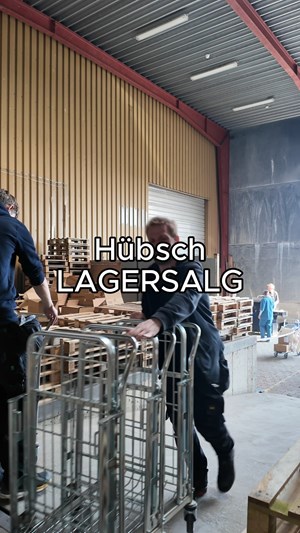 opslagsbillede