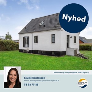 Opslagsbillede