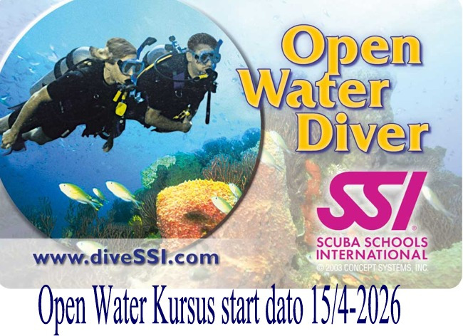 Bliv certificeret SSI Open Water Diver med CARLSENS DYKKERCENTER A/S