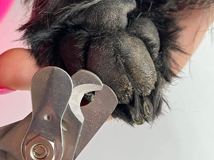 Nyt på opslagstavlen i Sæby