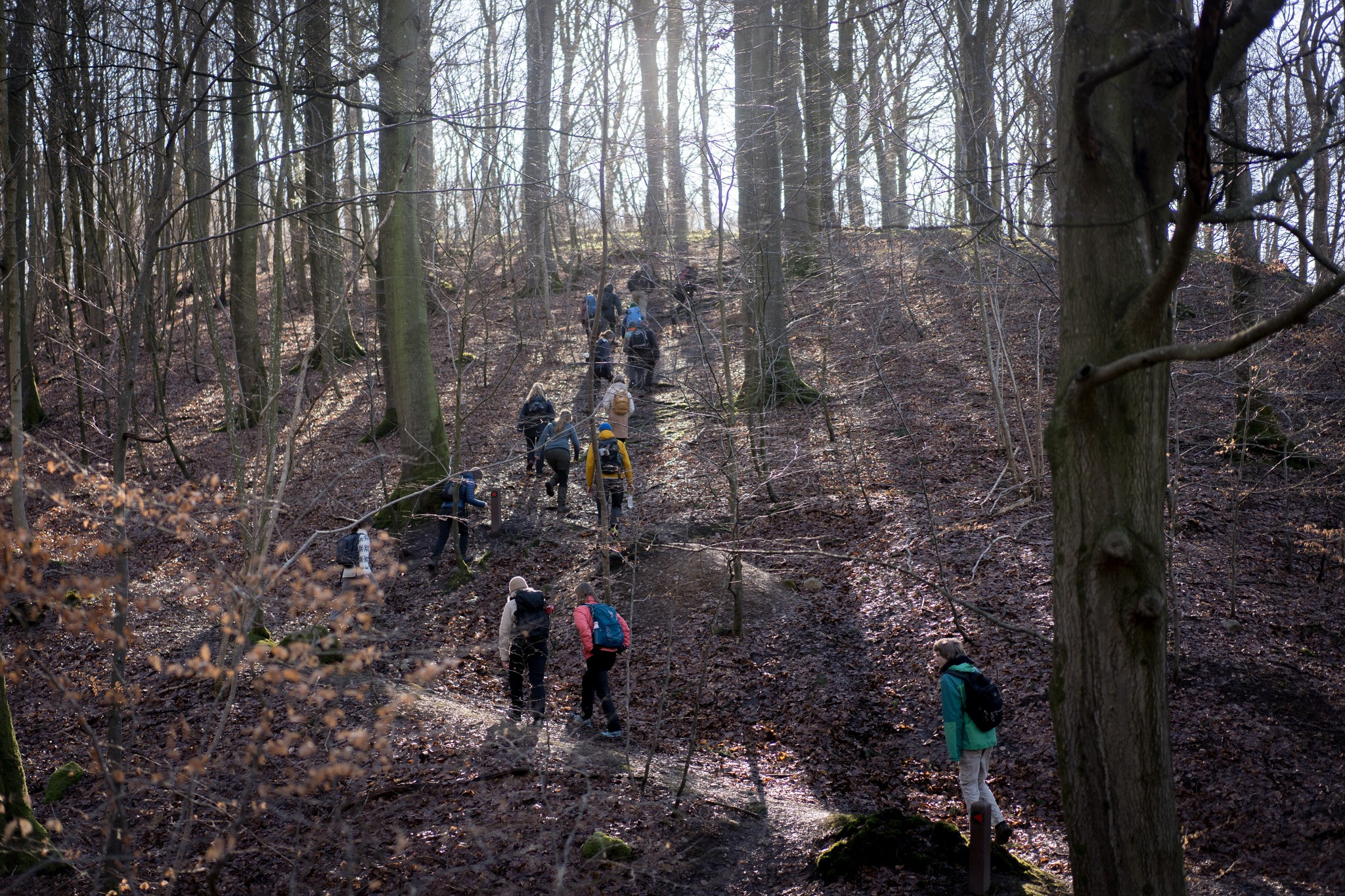 Musikalsk efterårsvandring i Højbjergs skove