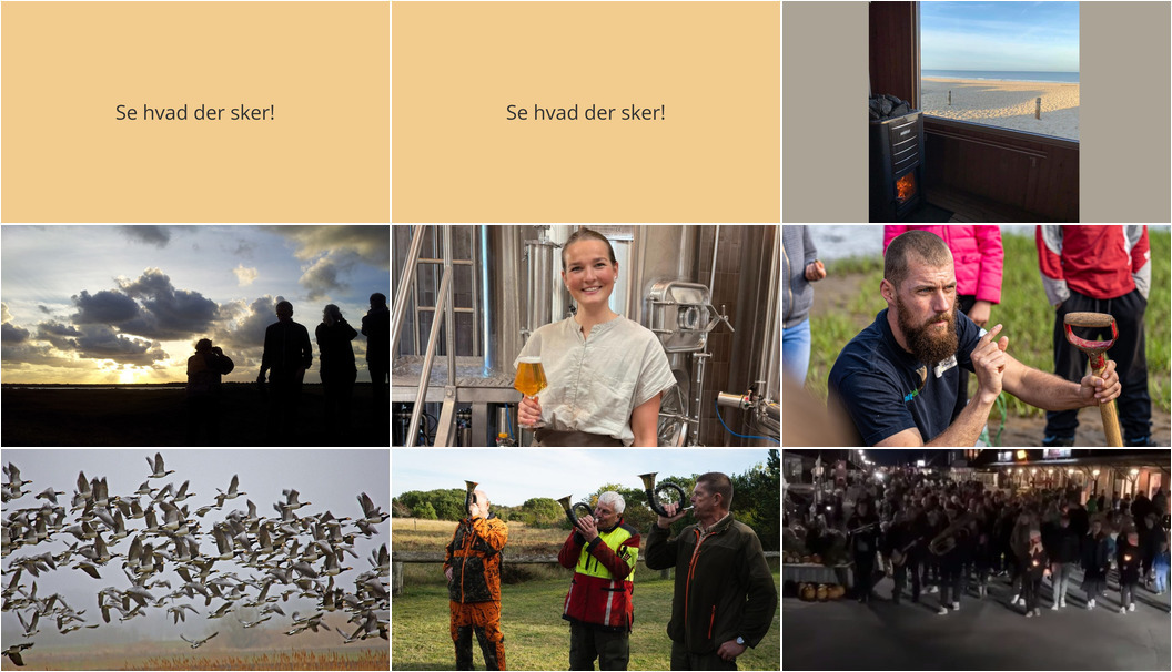 Ugens begivenheder i Henne: Saunagus ved Vesterhavet, smagfulde oplevelser og lanterneoptog