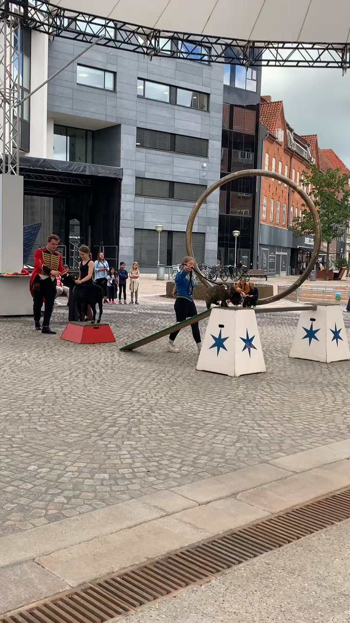 Opdatér dig her: Det nyeste fra Hjørring