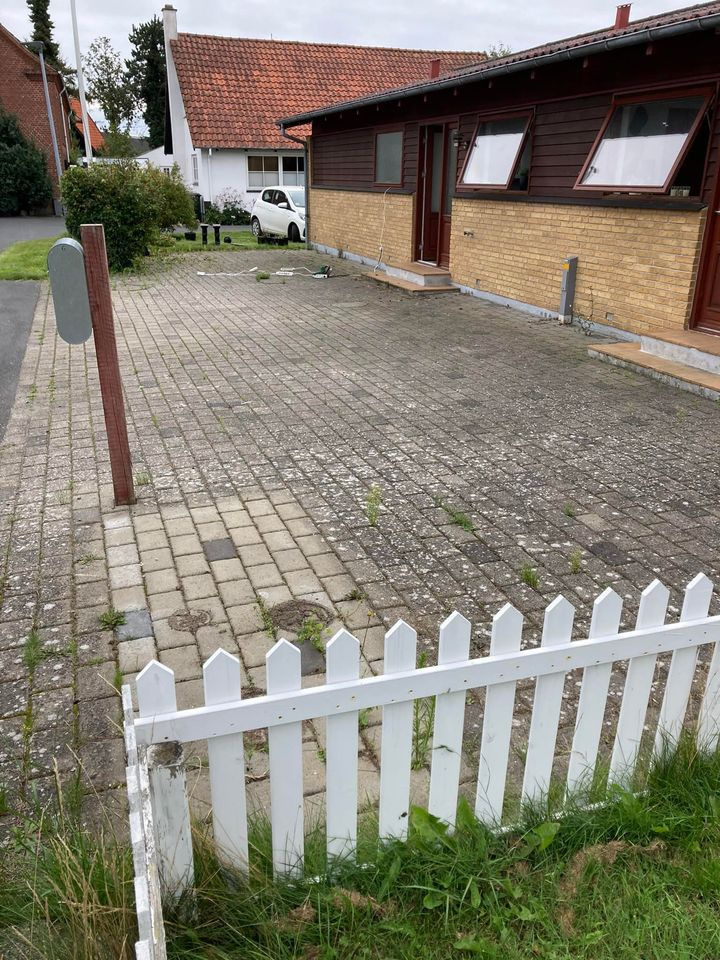 Opdatér dig her: Det nyeste fra Ikast