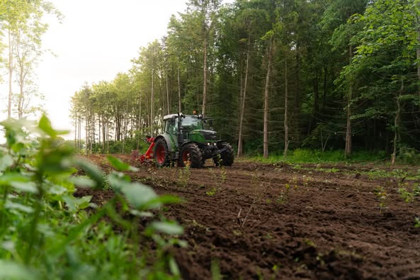 Skovbygaard A/S klar til at plante nye træer efter radrensning af tidligere plantede områder