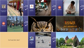 Weekenden i Gentofte: Fra gymnastik og skateboarding til uhyggelige fort-eventyr