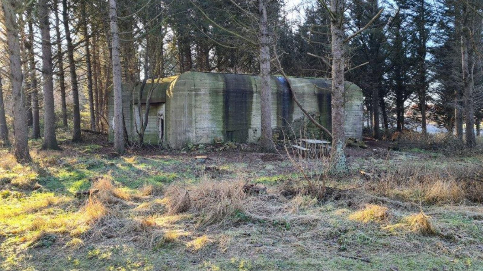 Guidet bunkertur i Løkken: Oplev historien i byens baghave