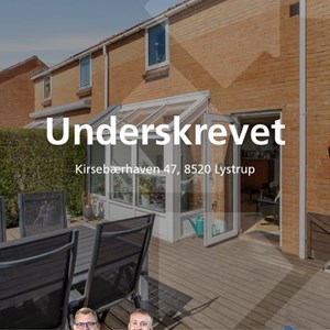 Opslagsbillede