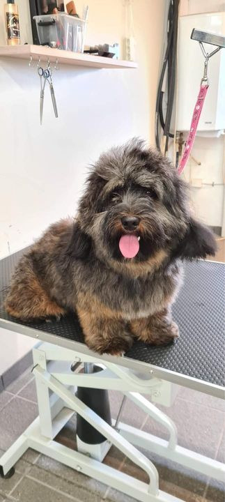 Det nyeste på Sæbys opslagstavle