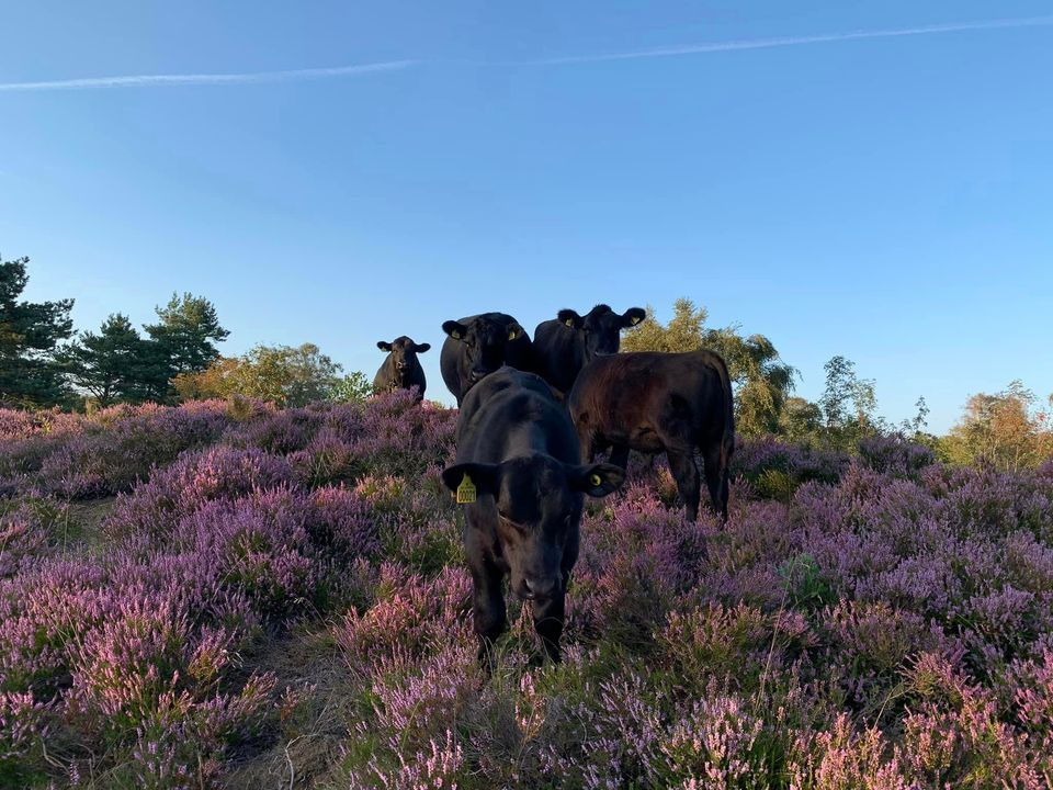 Opdatér dig her: Det nyeste fra Aabybro