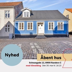Opslagsbillede