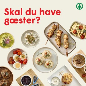 Opslagsbillede