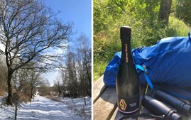 Nytårsvandring med bobler i Mols Bjerge