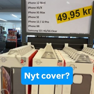 Opslagsbillede