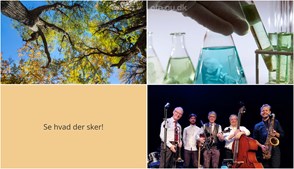Ugen i Præstø: Historiske fortællinger, etiske dilemmaer og jazzaftener