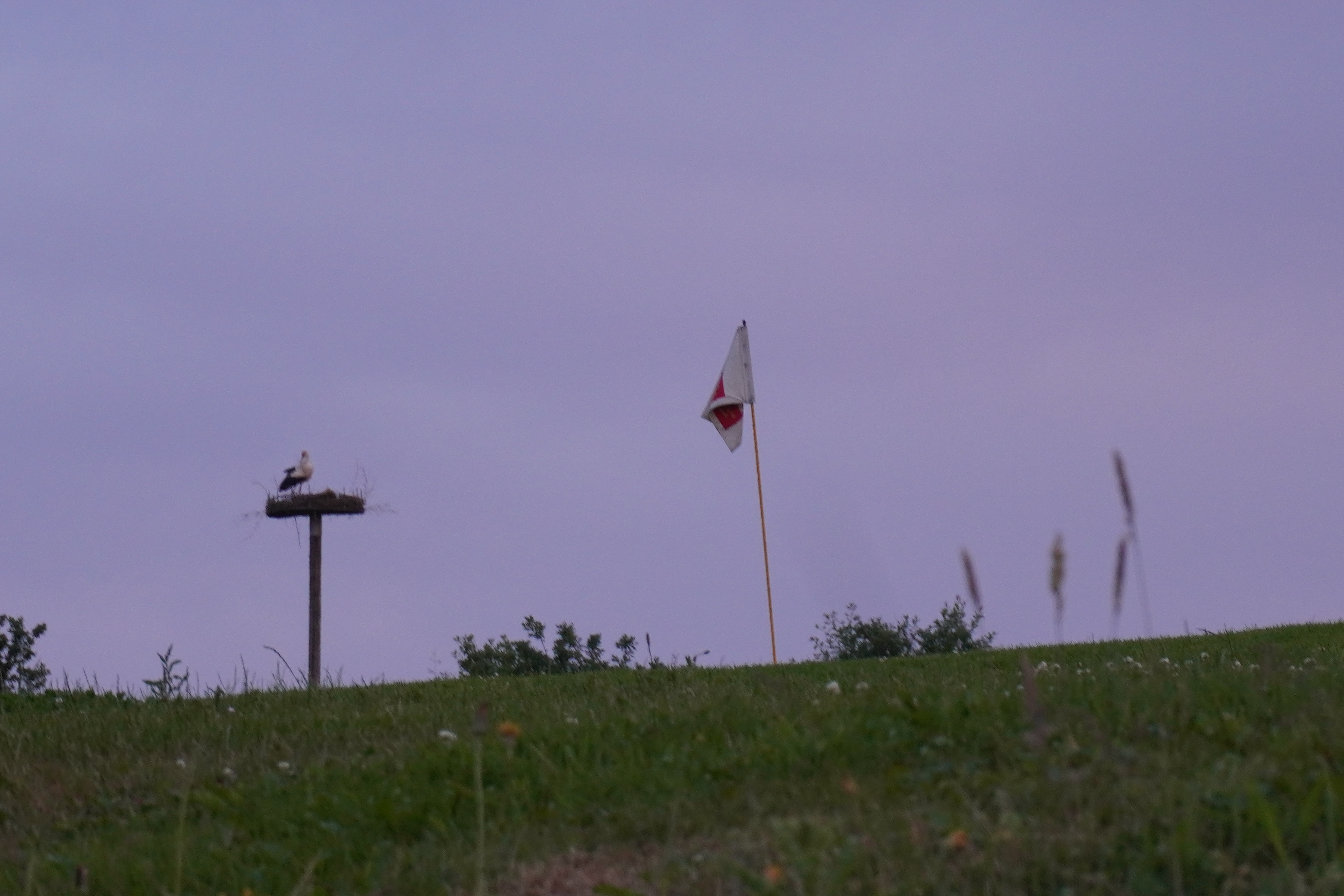 Storken er endelig ankommet