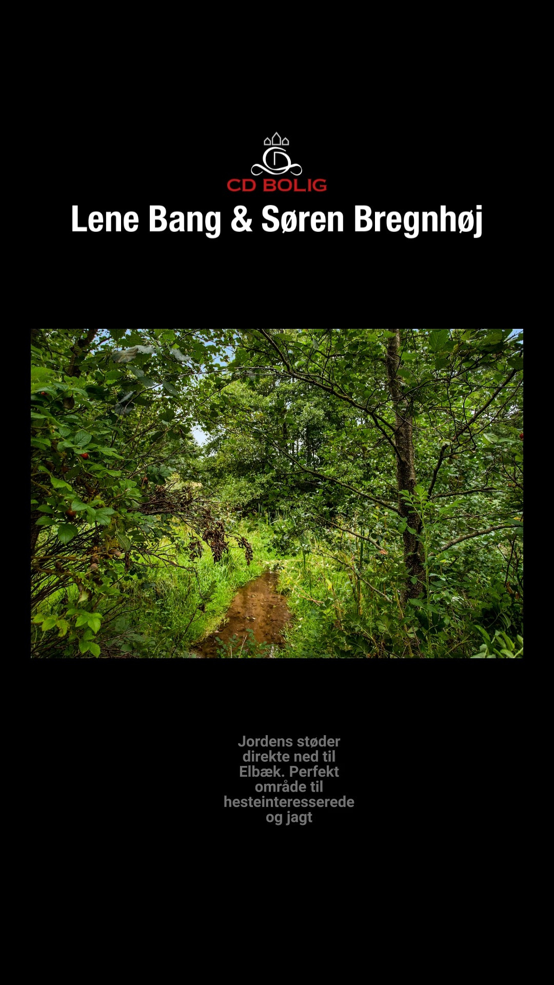 Nyt fra CD Bolig - Lene Bang & Søren Bregnhøj